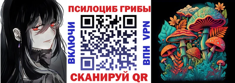 Псилоцибиновые грибы GOLDEN TEACHER  купить закладку  Нерчинск 